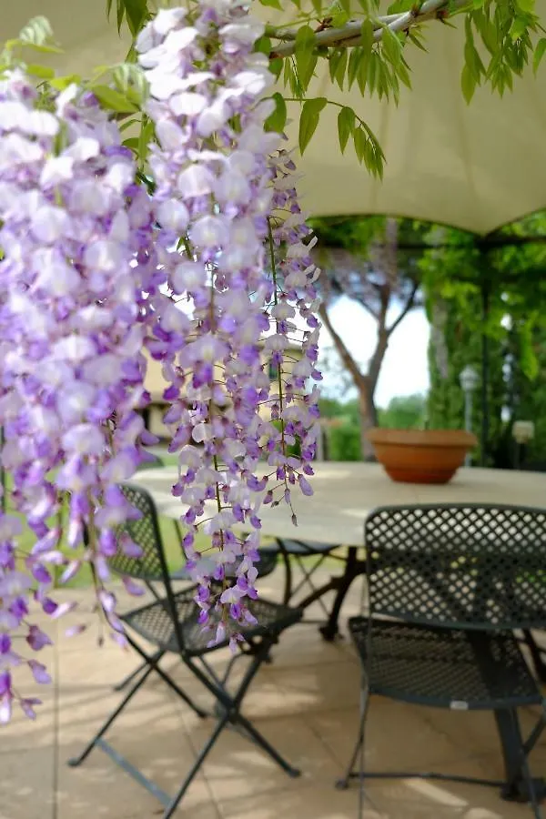 Canto De' Bacci Foiano Della Chiana Guest house